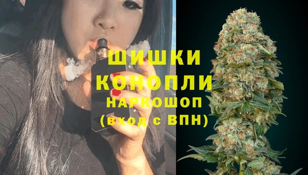 прущая мука Магас