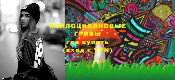 прущие грибы Алагир