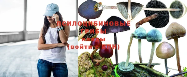 каннабис Магадан