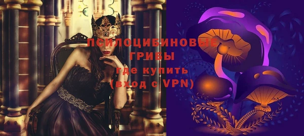 тгк Майский