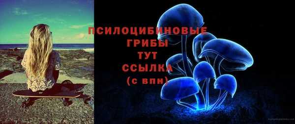 прущая мука Магас