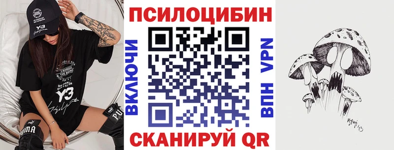 цены наркотик  Монино  Псилоцибиновые грибы Psilocybine cubensis 